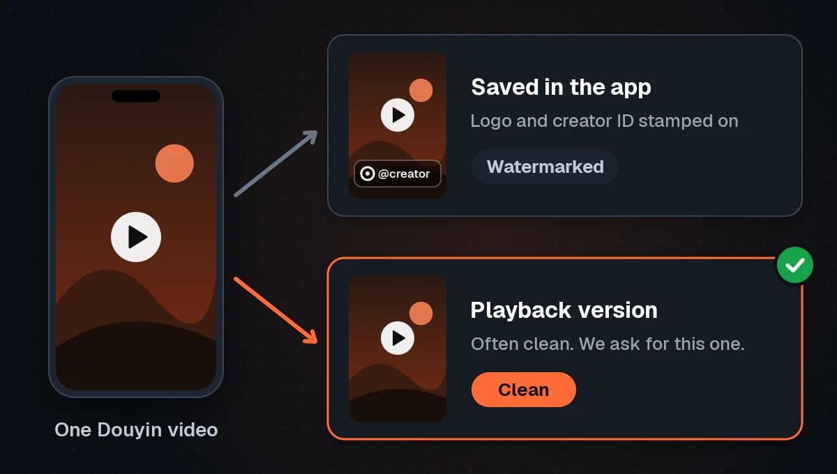 One Douyin video with two versions: the copy saved in the app has a creator stamp and is watermarked, and the playback version is often clean, which is the one the downloader asks for.