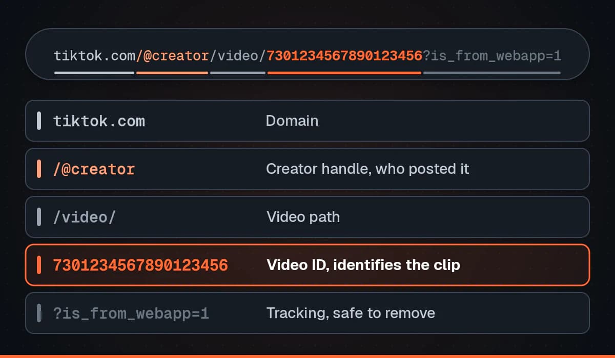 A full TikTok address split into rows: the tiktok.com domain, the creator handle, the video path, the long numeric video ID that identifies the clip, and a tracking parameter that can be removed.