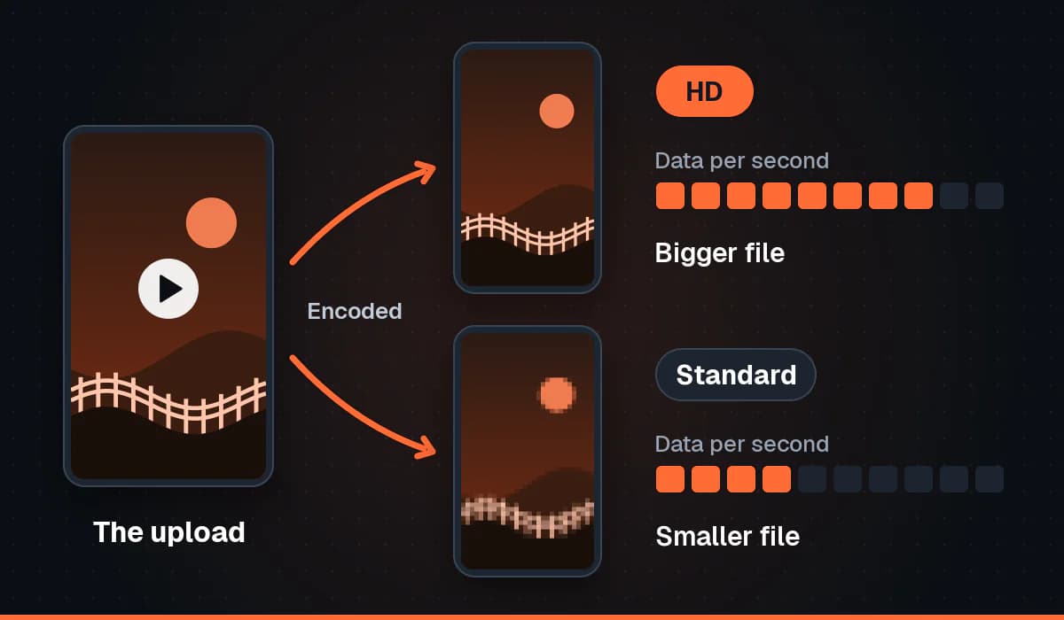 One uploaded video encoded by TikTok into two versions of the same frame: HD with more data per second and a bigger file, and Standard with less data per second, slightly softer, and a smaller file.